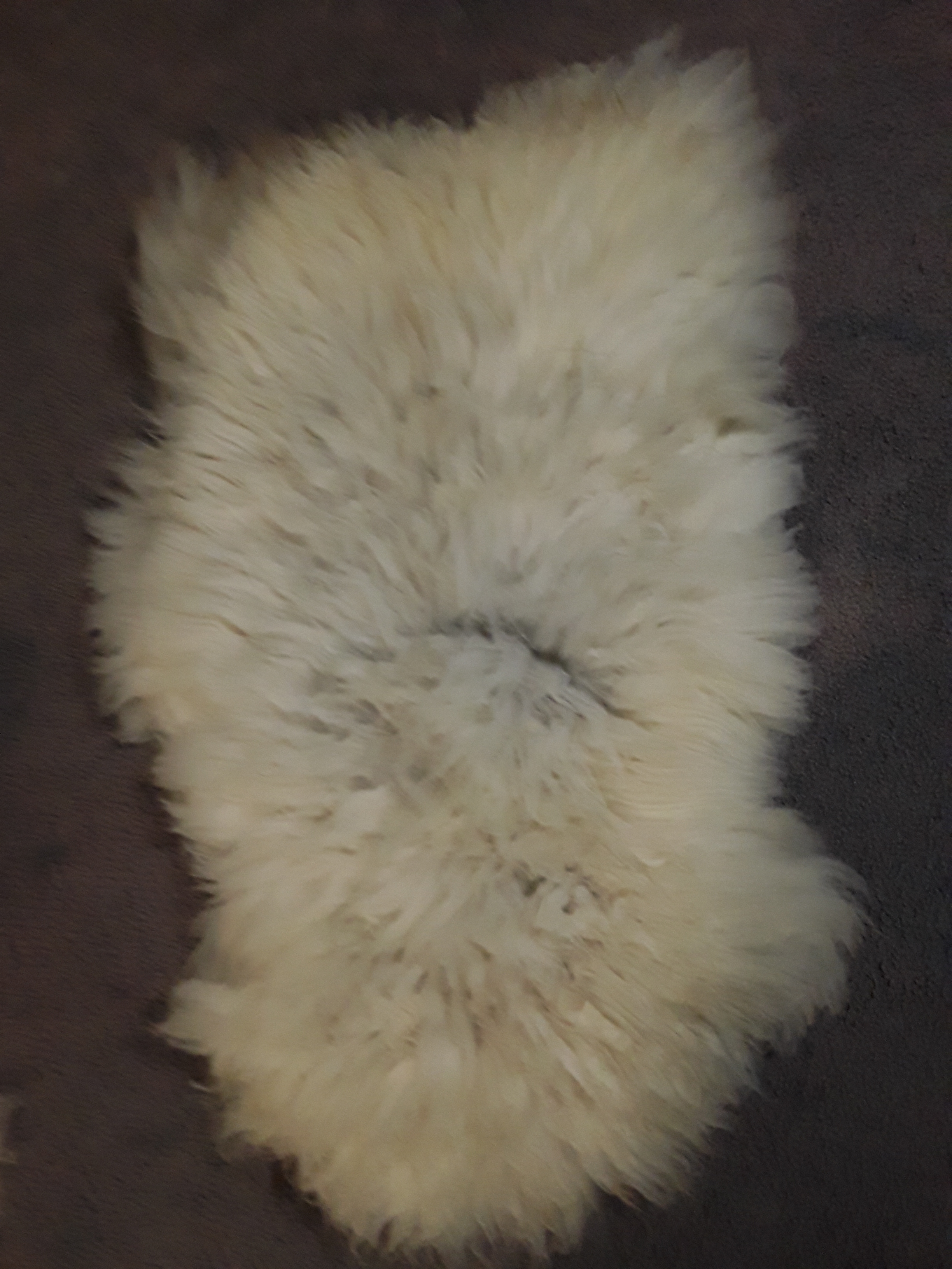 Shetland sheepskin #2