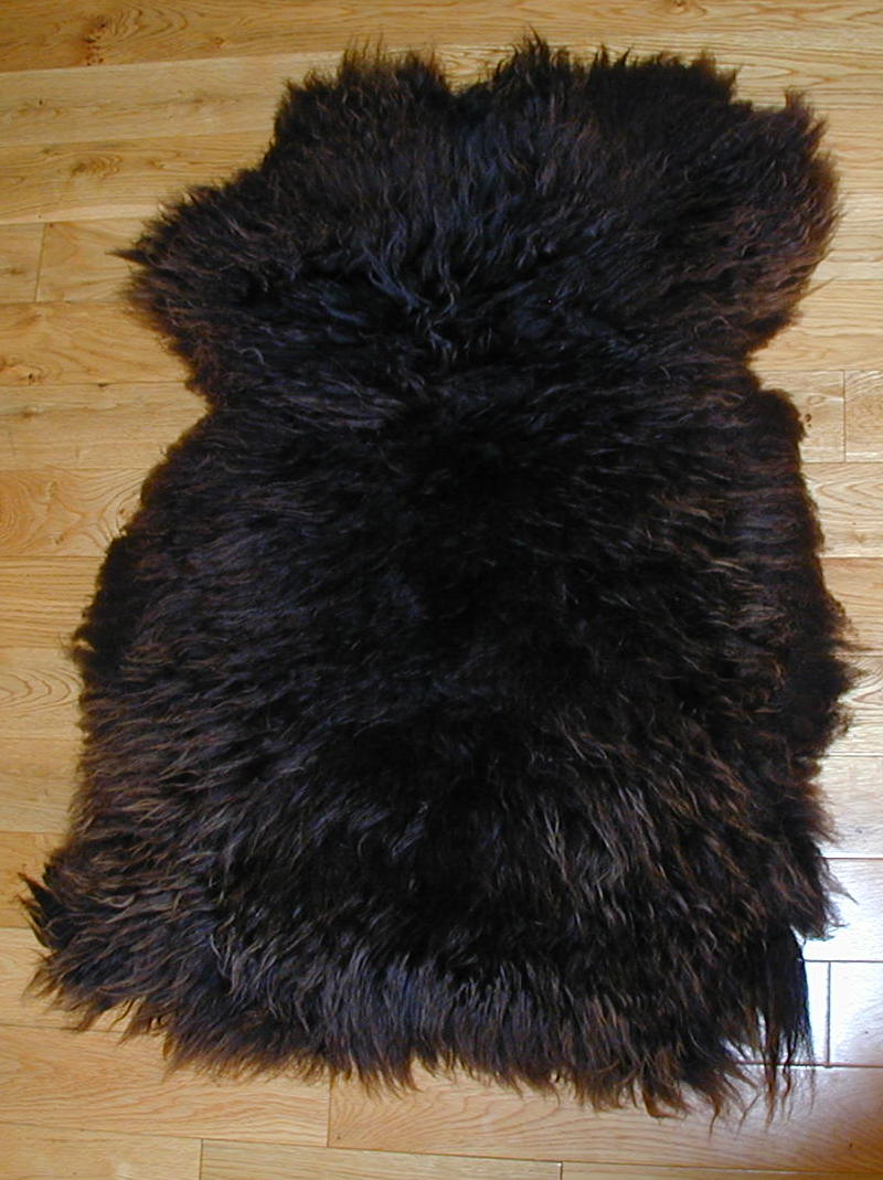 Shetland sheepskin #5